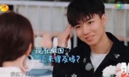 杨紫被王俊凯爆料视频,视频内容引发网友热议